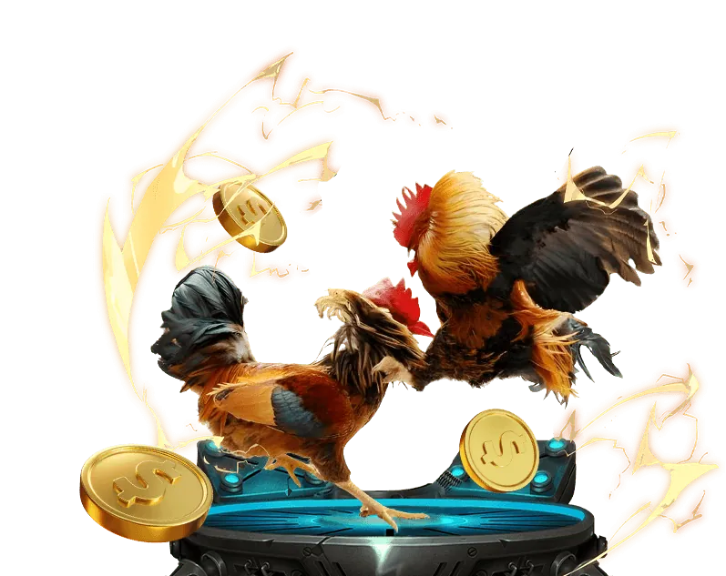 Cá cược trực tiếp tại v9bet88